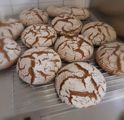 Zeige Details für Bio-Roggenbrot 1 kg Bild von Bio-Roggenbrot 1 kg